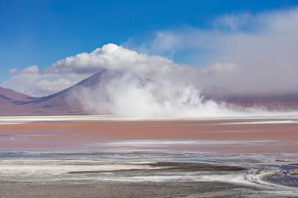 Zapierające Dech Piersiach Krajobrazy Lagoon Colorada Różowymi Flamingami Boliwii Altiplano — Zdjęcie stockowe