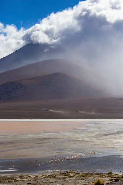 Impresionante Paisaje Lagoon Colorada Con Flamencos Rosados Altiplano Boliviano Potosí — Foto de Stock