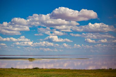 Ukrayna 'nın Kherson bölgesinde pembe tuz gölü kıyısı