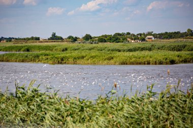 Ukrayna 'nın Kherson bölgesinde tuz gölü manzarası. Sivash tuz gölü.