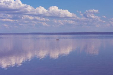 Ukrayna 'nın Kherson bölgesinde pembe tuz gölü kıyısı
