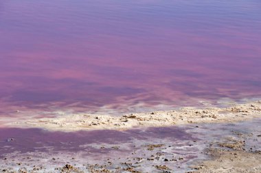 Ukrayna 'nın Kherson bölgesinde pembe tuz gölü kıyısı