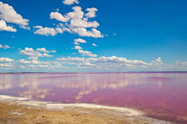 Ukrayna 'nın Kherson bölgesinde pembe tuz gölü kıyısı