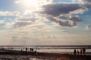 Ukrayna 'nın Kherson bölgesinde pembe tuz gölü kıyısı