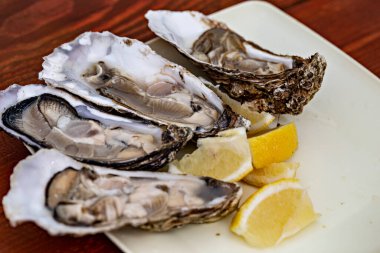 Taze istiridyeler limon dilimleriyle kaplanır.