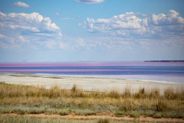 Nature Scene Salty Lakes Pink Blue Colours — Stockfoto