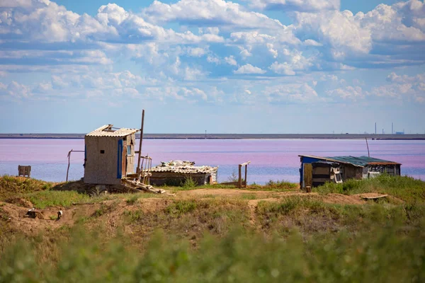 Roze Zout Meer Kustlijn Kherson Regio Van Oekraïne — Stockfoto