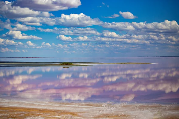 Roze Zout Meer Kustlijn Kherson Regio Van Oekraïne — Stockfoto