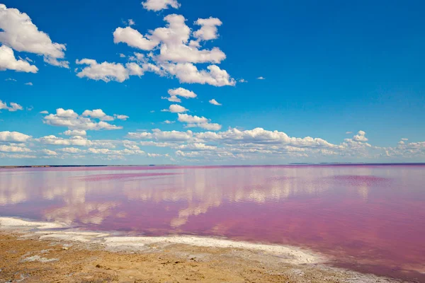 Ukrayna 'nın Kherson bölgesinde pembe tuz gölü kıyısı
