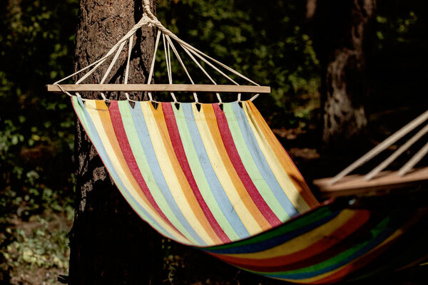 Colorful striped hammock hanging between two pines in the woods. Weekend away from the city