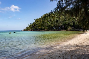Bereketli palmiyeler ve turkuaz denizli ada kıyısı