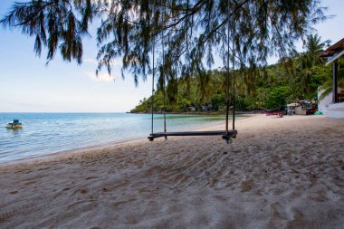 Island shore with lush palms and turquoise sea