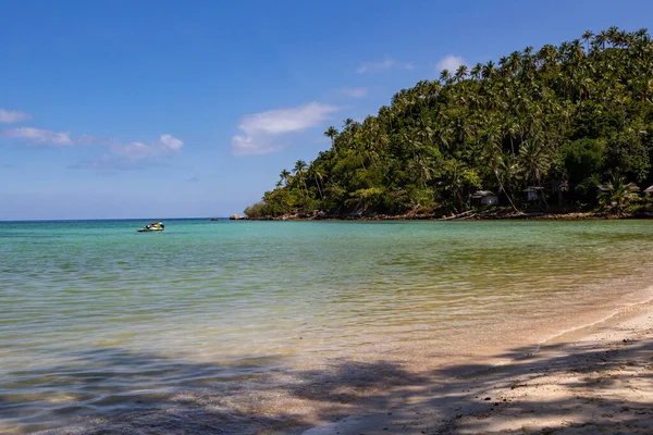 Island Shore Lush Palms Turquoise Sea — Stock fotografie