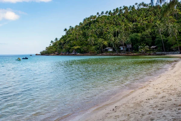 Island Shore Lush Palms Turquoise Sea — Stock fotografie