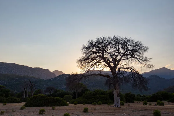 Sun Hiding Mountains Natural Landscape — Stok fotoğraf