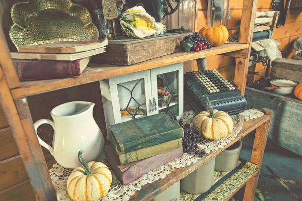 Mevsimlik balkabaklarıyla rahat köy arkaplanı