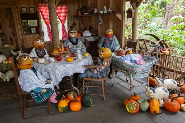 Balkabağı kompozisyonu Laity Pumpkin Patch, British Columbia, 