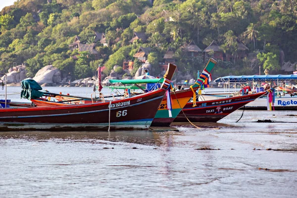 KOH TAO, THAILAND - Mart 2019 Sairee sahilinde muhteşem gün batımı, Koh Tao, Tayland sahilinde tekneler