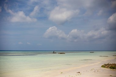 beautiful tropical beach with palm trees and blue sky Zanzibar