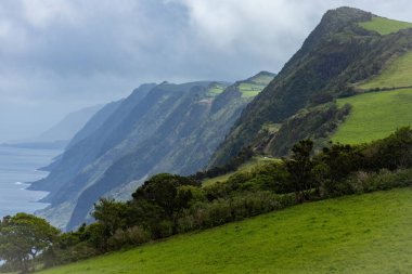 Portekiz 'in Pico Adası' ndaki Azores adalarındaki resimli sahil uçurumları