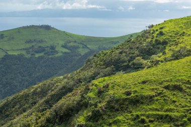 Portekiz 'in Azores adalarındaki parlak yeşil tepeler