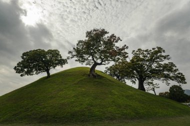 Şilla Hanedanlığı 'nın mezar tepeleri, ya da Tumuli, Şilla Krallığı' nın başkenti Gyeongju 'da yer alan ve kralların, kraliçelerin ve soyluların mezarlarını barındıran büyük toprak tepeleridir.