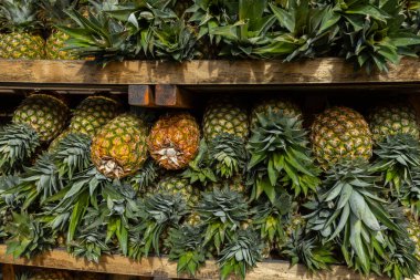 Meyve pazarında taze ananas yığını. Yakın görüş.