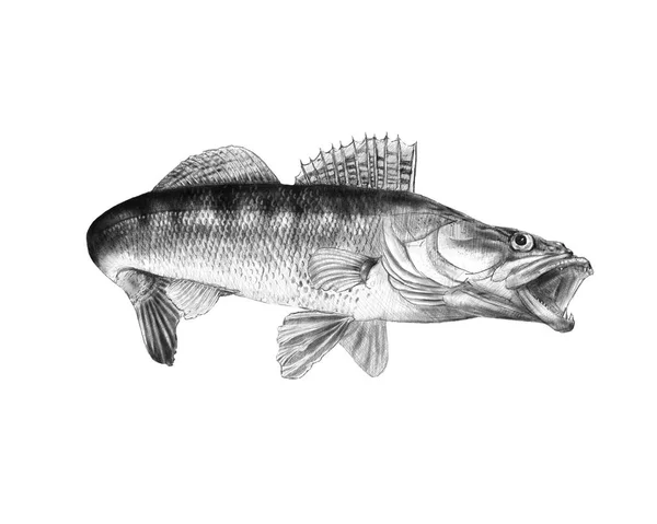 Zander el yapımı kalem boğuluyorum / zander kalem çizim - illüstrasyon