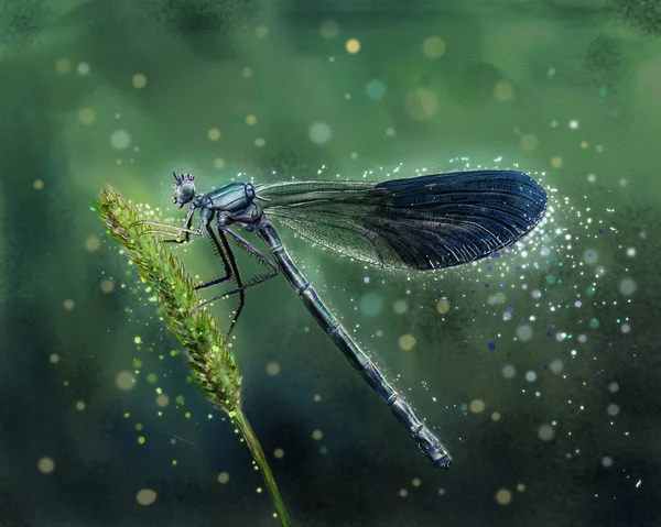 Dragonfly Banded Demoiselle Freehand Painting Mystical Banded Demoiselle Illustration Стоковое Фото