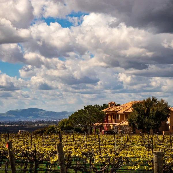 Grand Home Vineyards Livermore Area Clouds Blue Sky — Stock Photo, Image