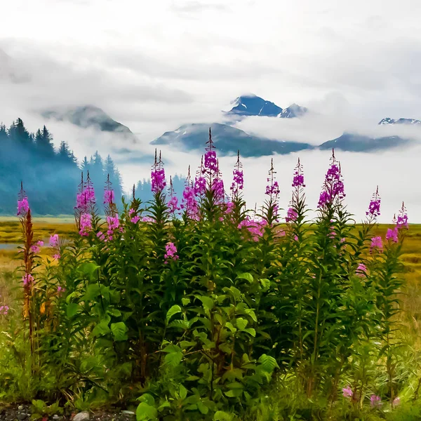 Spätsommerliche Blüten Von Feuerkraut Umgeben Von Den Valdez Bergen Alaska — Stockfoto
