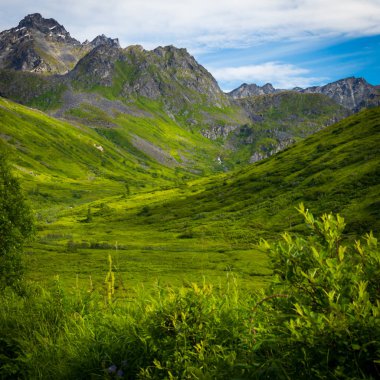 Palmer Alaska yakınındaki Hatcher Pass