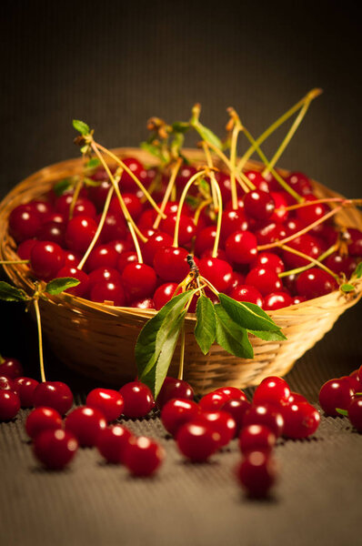 Healthy Organic Sour Cherries 