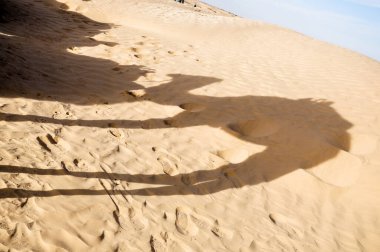 Çölde bir deve kervanının akşam gölgeleri.