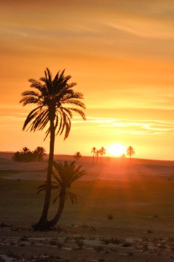 Gündoğumu ve Tunus 'un sıra dışı renkleri