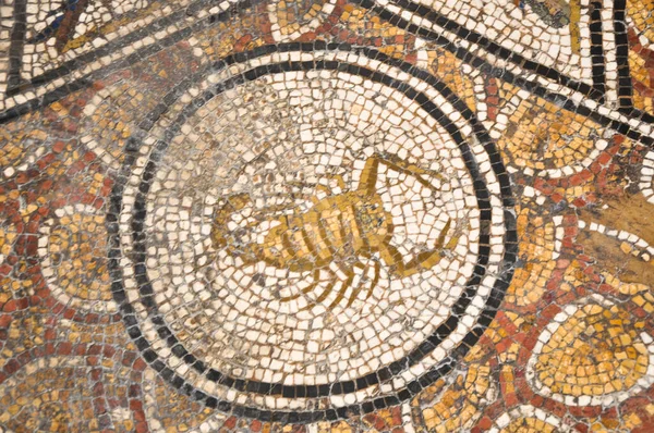 Tunisi Tunisia Febbraio 2009 Antichi Mosaici Romani Nel Museo Nazionale — Foto Stock