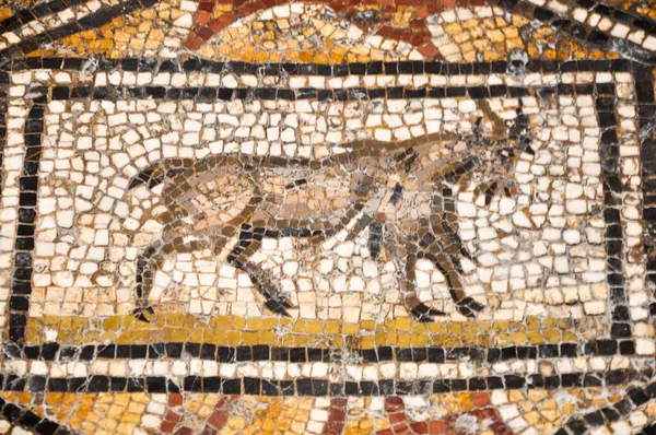 Tunis Tunisia Februari 2009 Forntida Romerska Mosaiker Bardos Nationalmuseum — Stockfoto