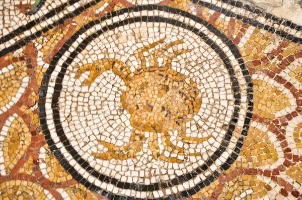 Tunisi Tunisia Febbraio 2009 Antichi Mosaici Romani Nel Museo Nazionale — Foto Stock