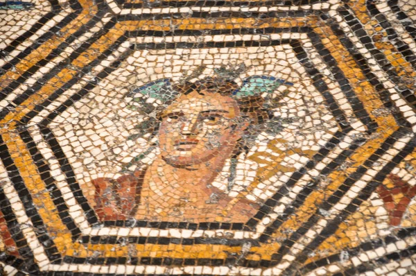 Tunisi Tunisia Febbraio 2009 Antichi Mosaici Romani Nel Museo Nazionale — Foto Stock