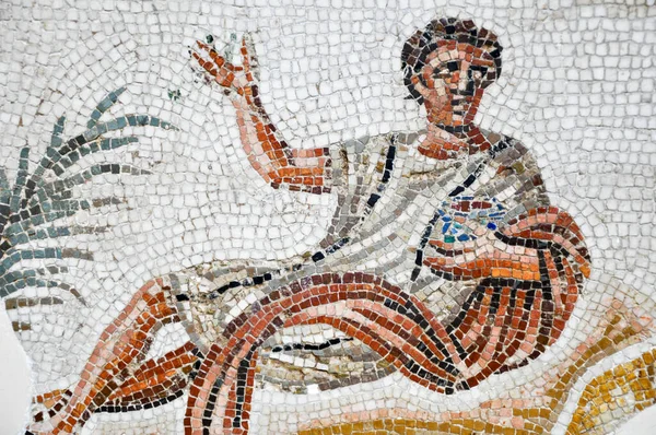 Tunisi Tunisia Febbraio 2009 Antichi Mosaici Romani Nel Museo Nazionale — Foto Stock