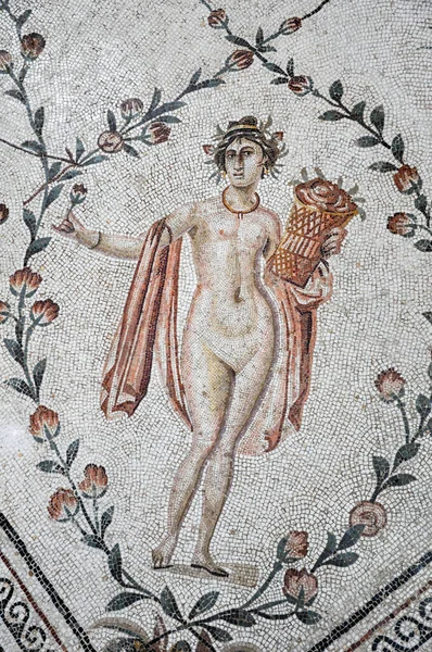 Tunis Tunisia Února 2009 Starověké Římské Mozaiky Národním Muzeu Bardo Stock Obrázky