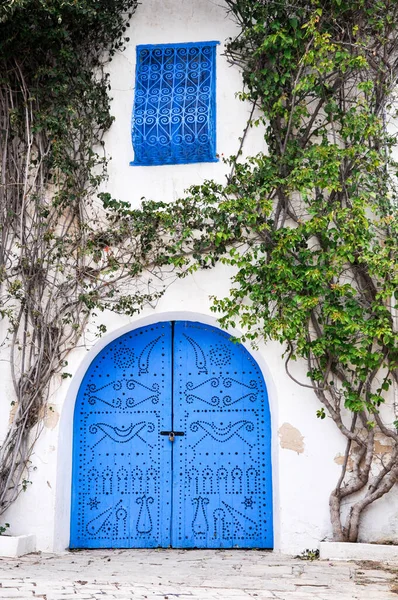 Puerta Tradicional Pintada Sidi Bou Said Túnez Fotos De Stock Sin Royalties Gratis