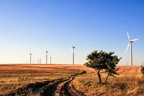 Turbines Éoliennes Sur Surface Plantation Blé Image En Vente