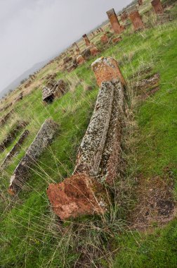 Bitlis, Türkiye - 21 Mayıs 2011: Ahlat Seljukian Mezarlığı. Seljuk Dönemi Mezar Taşları.