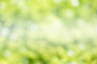 Yeşil arka plan. Bulanık ve bahar konsept tasarımı için etkisi bulanıklık .