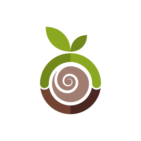 Yeşil elma logo şablonu. Elma Inside spiral kahverengi tohum. Vektör çizim.