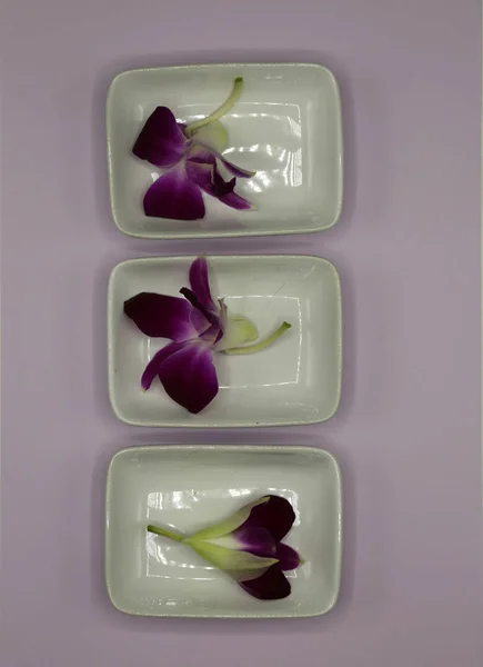 Purple orchid flowers arranged in white ceramic plates on a wooden tray.
