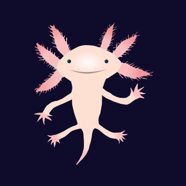 Axolotl Free Vector Eps Cdr Ai Svg Vector Illustration Graphic Art Axolotl Free Vector Eps Cdr Ai Svg Vector Illustration Graphic Art