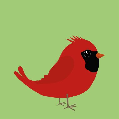 Kuzey Kardinal çizgi roman illüstrasyon