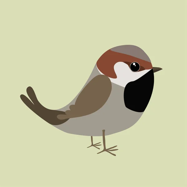 Sparrow Comic Illustration — Stock Vector